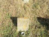 image of grave number 336636